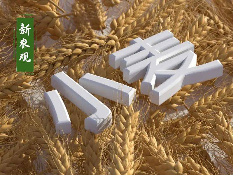 原創(chuàng)托市小麥拍賣清單出來了！小麥行情要反轉(zhuǎn)？